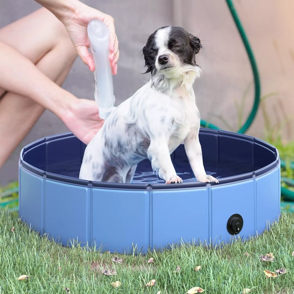 hundepool, robust soppebassin til hunde, svømmebassin lavet af PVC+træ, blå, Ø80xH20 cm, sommersjov