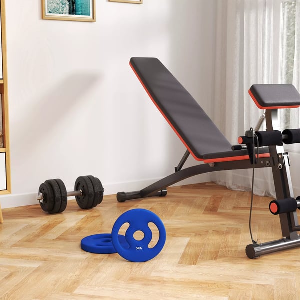 Set med 2 hantelvikter, 2 x 5 kg vikter, hantelset, viktplattor för 2,5 cm hantelstång, Ø 30 mm hål, Blå