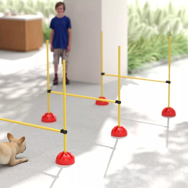 PawHut Hund Agility Sft - 5 Dels Trfningsudstyr med Justerbare Spring og Taske - Gul/Orange ABS Plast