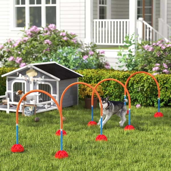 Hund Agility Sæt - 4-delt Træningsudstyr til Hunde - Justerbare Porte, Blå/Orange Plast, Inkl. Bæretaske