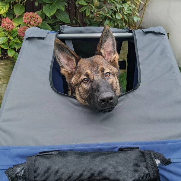 Hundetrailer til cykel, Oxfordstof, vandafvisende, åndbar, 130x73x90cm, Blå