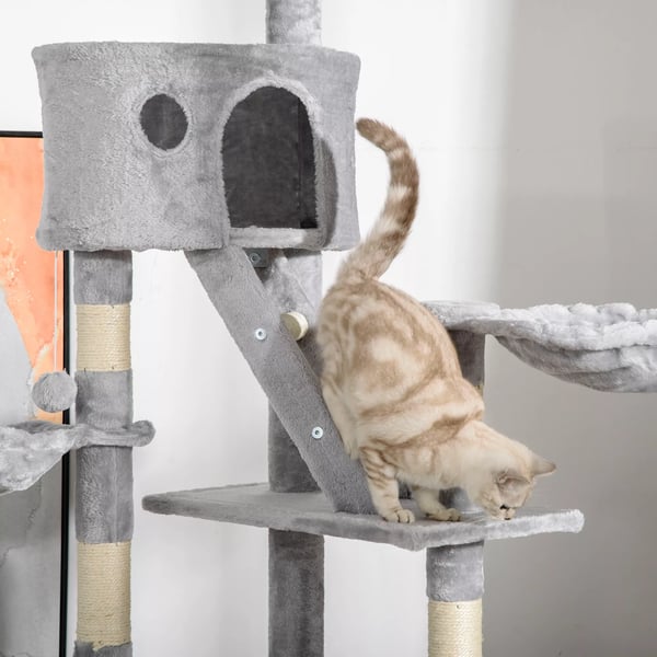 PawHut Kradsetræ til Loft-til-Gulv til Katte - Lysegrå Spånplade/Plys - 60x45x240-260 cm