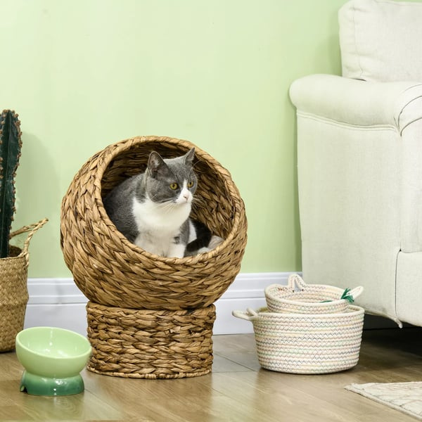 PawHut Katte Kurv i Vandhyacint - Brun - Behagelig seng med pude til katte, max 10kg, 42x33x52cm