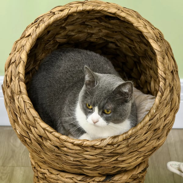 PawHut Katte Kurv i Vandhyacint - Brun - Behagelig seng med pude til katte, max 10kg, 42x33x52cm