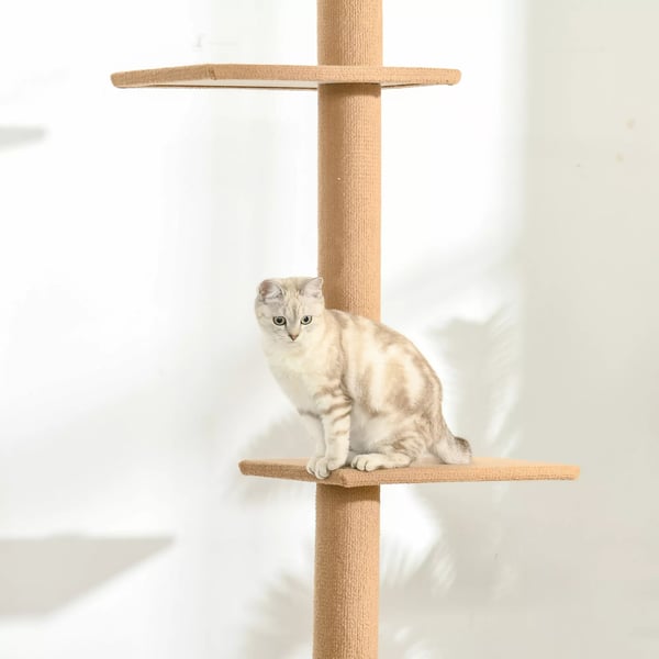 PawHut Kradsetræ til Katte - Justerbart, 4 Platforme, Lysebrun, 43x27x228-260cm, Spånplade & Polyester Plys