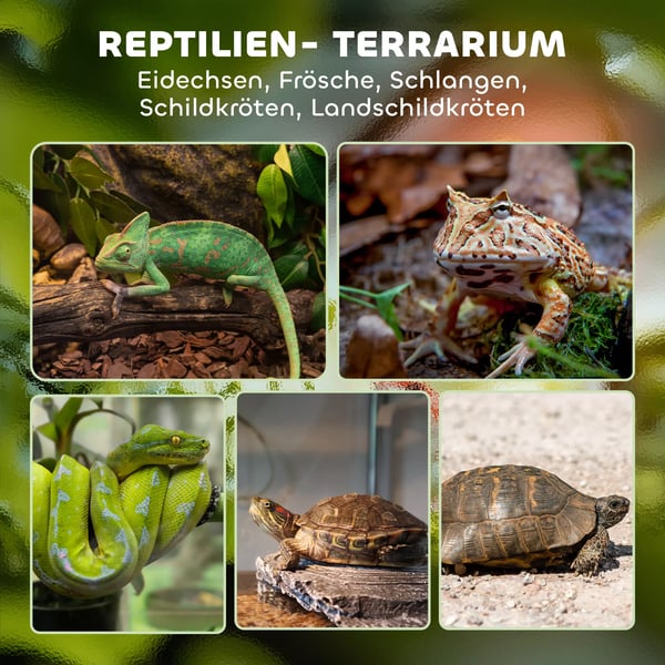 PawHut glasterrarium til krybdyr, forhøjet & vandtæt bund, knaplås