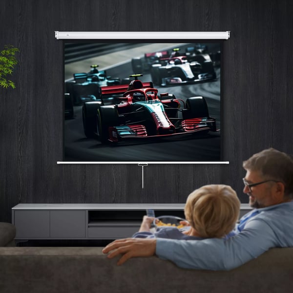 projektorduk 171 x 128 cm 84 tum 4:3 HD 4K projektorduk plast, metall hemmabio