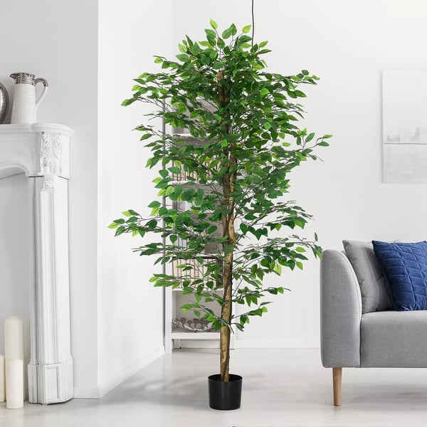 Konstgjord Växt, 180 cm Konstgjord Växt med Planterare, Konstgjord Moss, Konstgjord Ficus Konstgjord Träd, Inomhusväxt för Vardagsrum, Grön