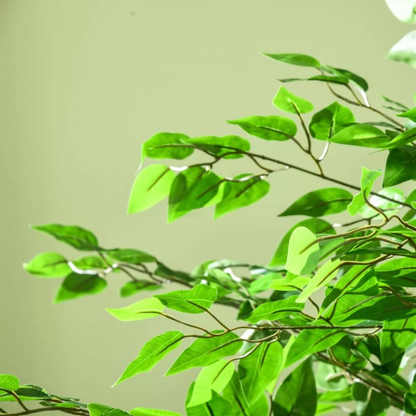 Konstgjord Växt, 180 cm Konstgjord Växt med Planterare, Konstgjord Moss, Konstgjord Ficus Konstgjord Träd, Inomhusväxt för Vardagsrum, Grön