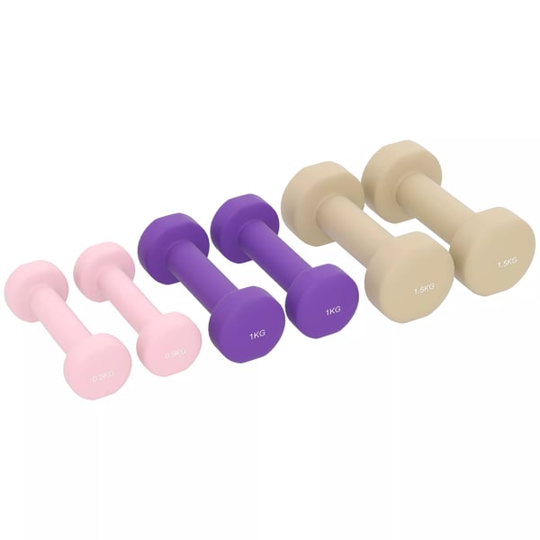HOMCOM Hantelset 6-delar med väska - Justerbara vikter 0,5-1,5 kg för hem & gym, Rosa+Lila+Kaffe, Plast/Konstläder