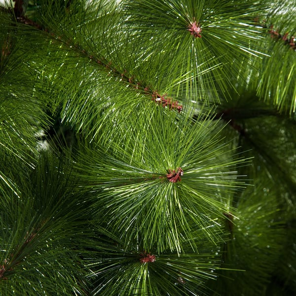 HOMCOM Juletræ 2,1m Gran Med 505 Tætte Grene I PET Og Metalfod, GrøN