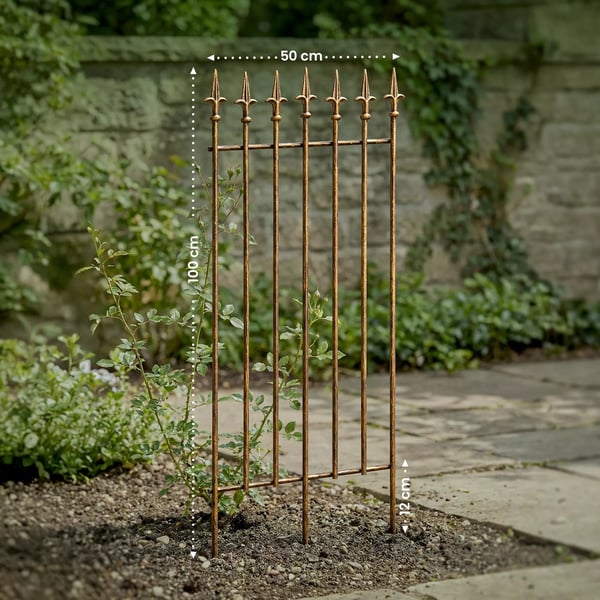 Elisa Jernespalierspalier - Rustik Landhusstil Klatreplantestøtte - Bronze, 100 cm H