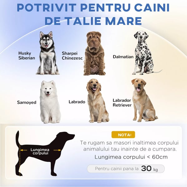 PawHut Hundesofa Komfortabel Kæledyrsseng med Pude, Grøn Polyester, 98x67x25cm
