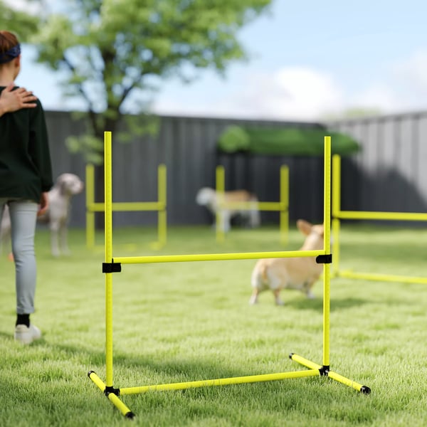 PawHut Hund Agility Træningssæt - 4 Dele Hürder & Slalom pinde - Plastik, Gul - 99x65x94cm
