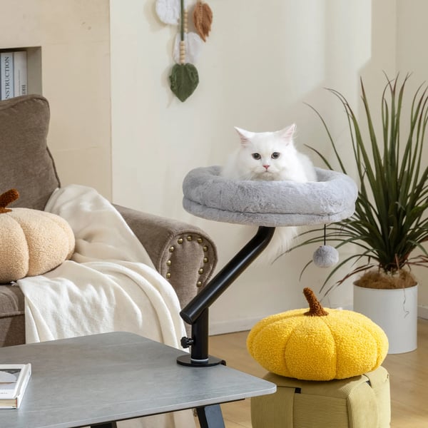 PawHut Katteseng til Skrivebord, Grå, Polyester, 360° Rotation, Justerbar Højde, Vaskbart Pude, op til 6 kg