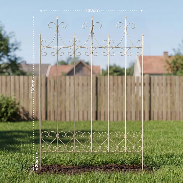 Flieder espalier