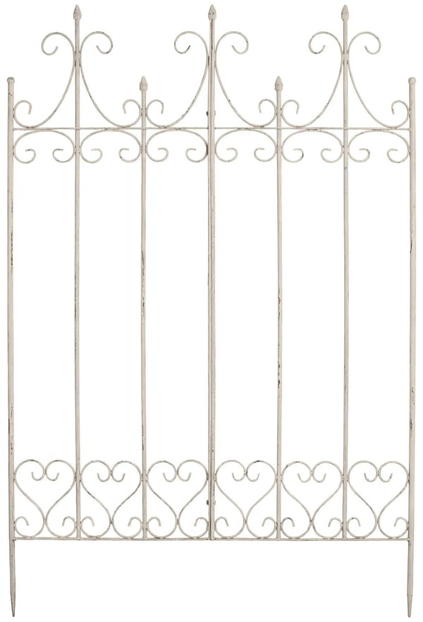 Flieder espalier