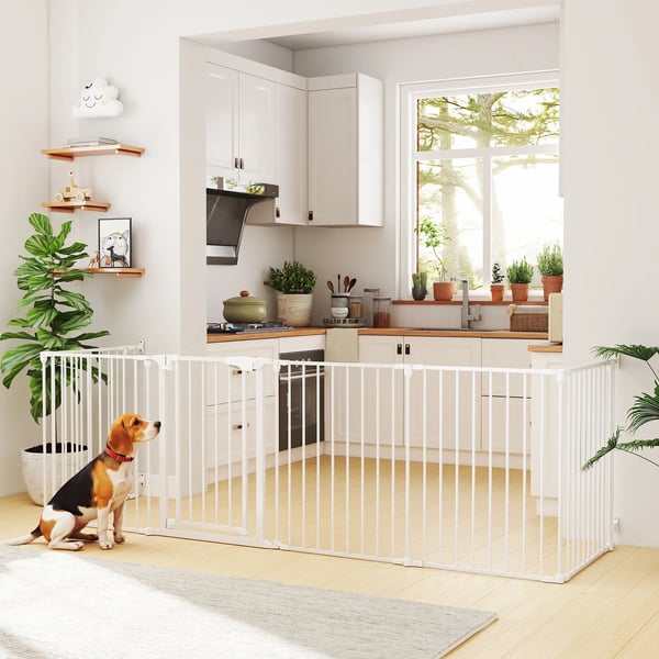 Kæledyrshegn, 6-panel barriere med dør, sammenklappelig, til små & mellemstore hunde, stål/plast, hvid