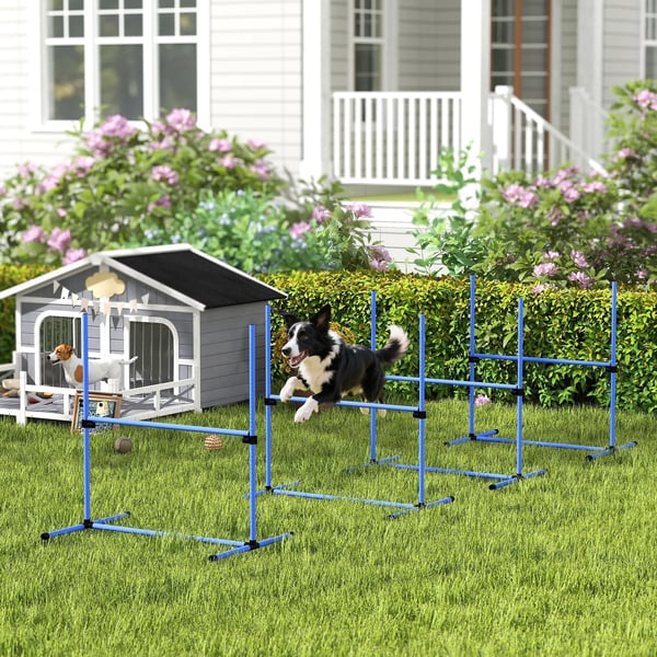 Koiran Agility Esteet Slalom & Hyppy Koulutussetti, Muovi, Sininen, 99x65x94cm
