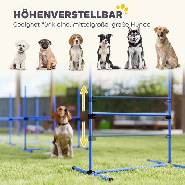 Koiran Agility Esteet Slalom & Hyppy Koulutussetti, Muovi, Sininen, 99x65x94cm