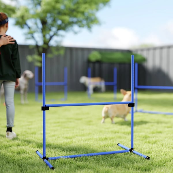 Koiran Agility Esteet Slalom & Hyppy Koulutussetti, Muovi, Sininen, 99x65x94cm