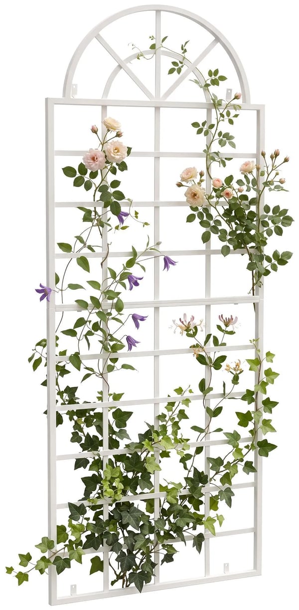 Viva Metal Espalier til Klatreplanter og Roser, Hvid Antik Patina, 180cm Højde