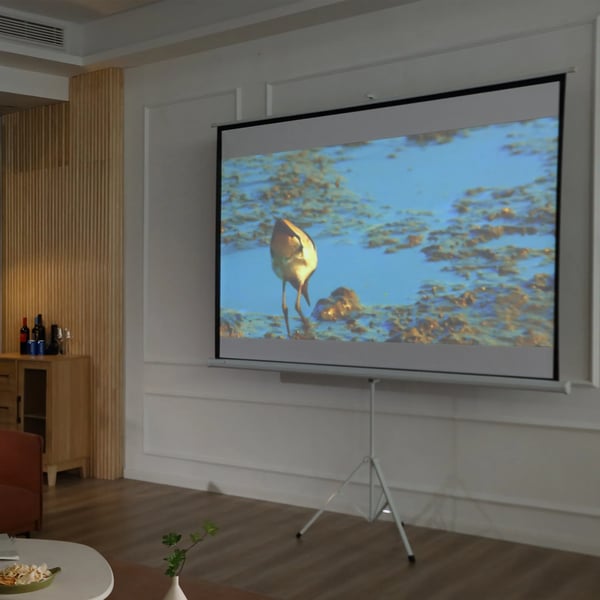 Projektionsdug 100" (203x152cm) 4:3 Format, Hvid Plastik og Metal