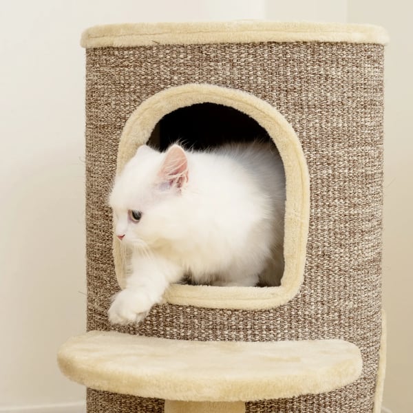 Klösträd för katter med 2 nivåer, klösmattor, utkiksplattform, beige/brun polyester