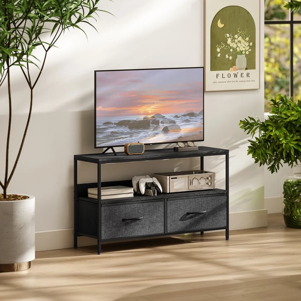 TV-møbel lavt møbel med 2 skuffer, åbent rum, til fjernsyn op til 47 tommer, 98 x 29 x 56 cm, Sort+Mørkegrå