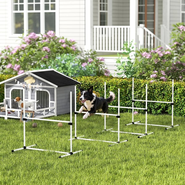 Hund Agility Träningsset - 4 delar hopphinder och slalompinnar, vit plast, 99x65x94cm