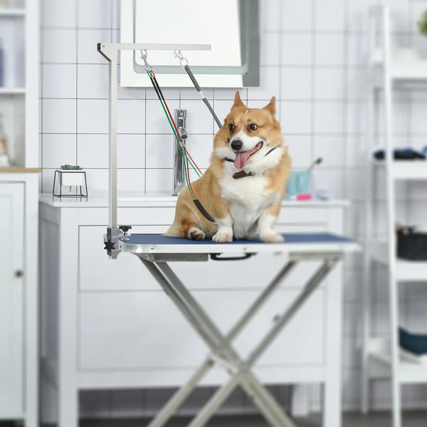 Plejestativ - Foldbar Plegearm i Rustfrit Stål til Mellemstor Hund (max 20 kg, 50 cm) - Sølv