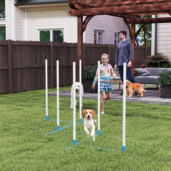 Hund agilityträningsset med 6 stänger och väska, PE-plast, Blå/Vit, 305 x 60 x 94 cm