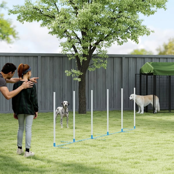 Hund agilityträningsset med 6 stänger och väska, PE-plast, Blå/Vit, 305 x 60 x 94 cm