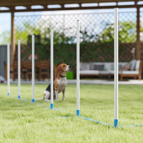 Hund agilityträningsset med 6 stänger och väska, PE-plast, Blå/Vit, 305 x 60 x 94 cm