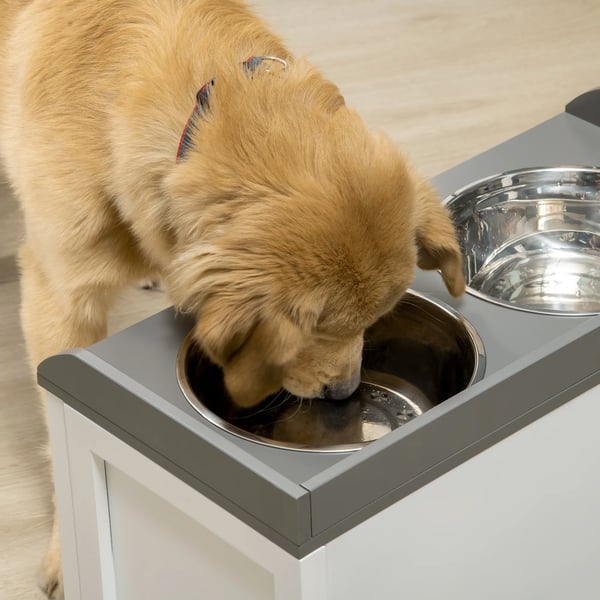Hundskål med förvaringslåda 2x2L, upphöjd rostfri matstation för stor hund, brun