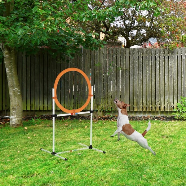 Hundetræningssæt Agility Springring Bærbar PE Hvid + Orange 74,5x66x91cm