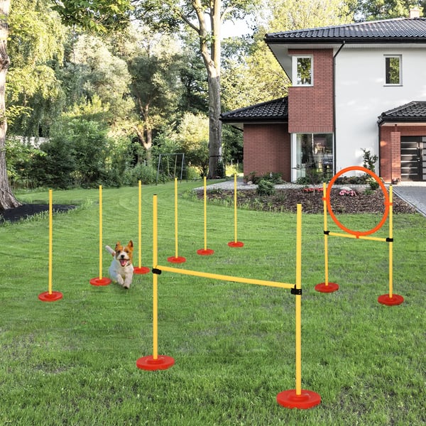 Hundetrænings agility sæt 3-i-1 – Forhindringer, Slalom, Springring – Inkl. Taske – Gul, ABS/PE/Polyester