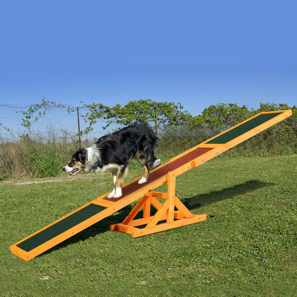Agility Vippa för Hund | Träning & Balans | Furuträ | 180x30x30 cm