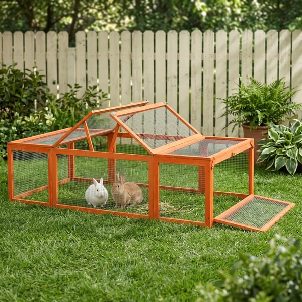 smådjursbur 180 x 90 x 48 cm med inhägnad multifunktionell granträ orange