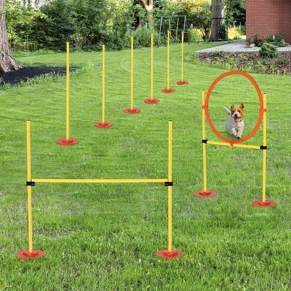 Hundträningsset 3-i-1 Agilitybana med hoppring & väska, gul