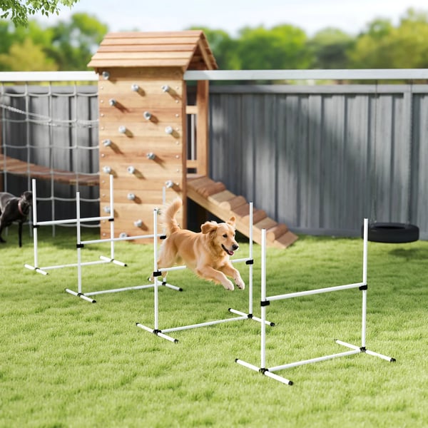 Hund Agility Träningsset - 4 delar hopphinder och slalompinnar, vit plast, 99x65x94cm