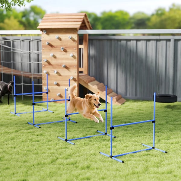 Hund Agility Träningsset - Hopp- & Slalomhinder, Blå Plast, 4 delar