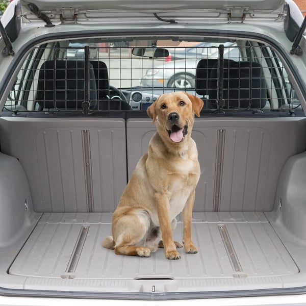 hundegitter til bil universelt justerbart bagagerumsgitter skille-gitter metal sort (91-152) x 30 cm