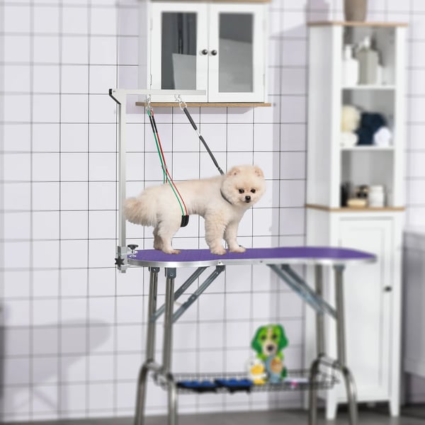 Plejestativ - Foldbar Plegearm i Rustfrit Stål til Mellemstor Hund (max 20 kg, 50 cm) - Sølv