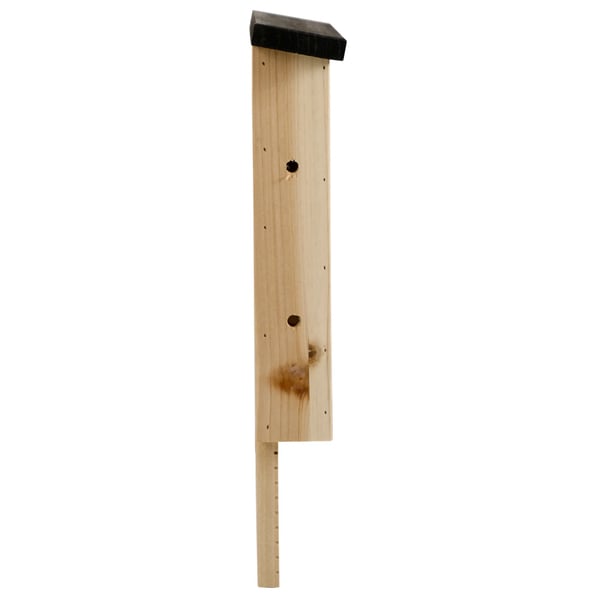 fladdermusholk 3-pack, fladdermushus, boplatser för fladdermöss, upphängningsbar fladdermuslåda för sommar och vinter, gran, natur