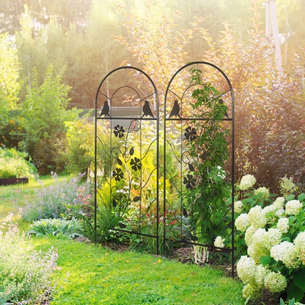 2-delt sæt klatrestativ, espalier & klatrenet til klatreplanter, metal, sort, 38x98cm