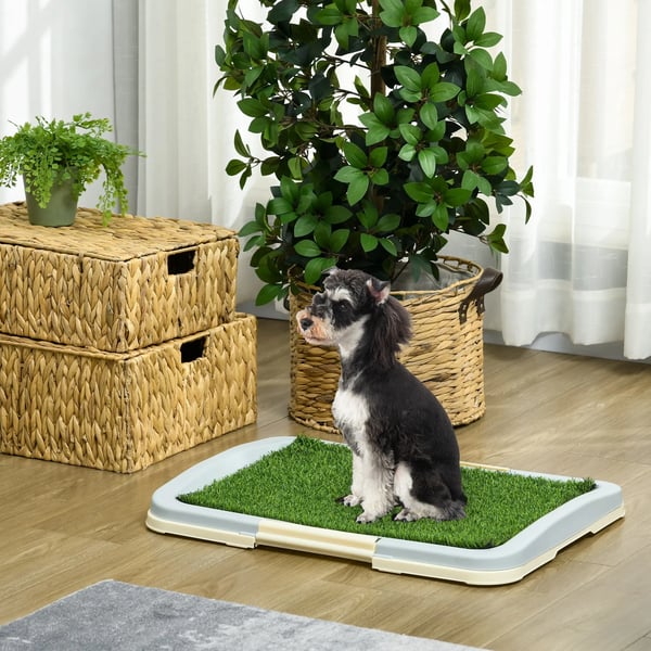 hvalpetoilet hundetoilet kunstgræs hundeklo blå 63x48,5cm