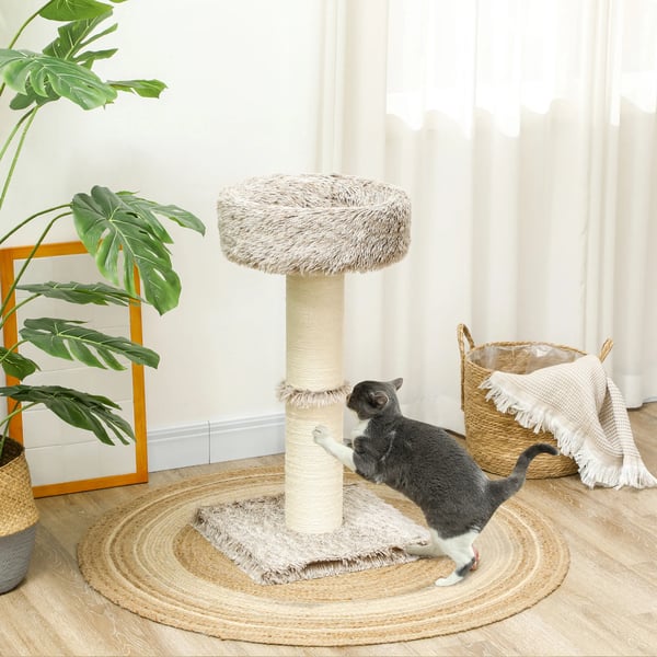 Kradsetræ til Katte 87cm Høj med Seng, Tykt Stamme, Sisal-Søjler, Til Katte op til 6kg, Indendørs, Brun