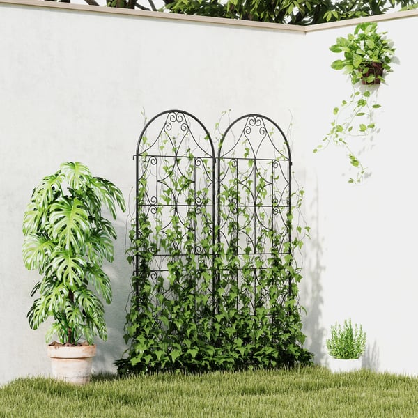 Rosgaller i Metall 2-pack, Svart, 50x150 cm - Rostfritt och Elegant Spaljé för Klätterväxter