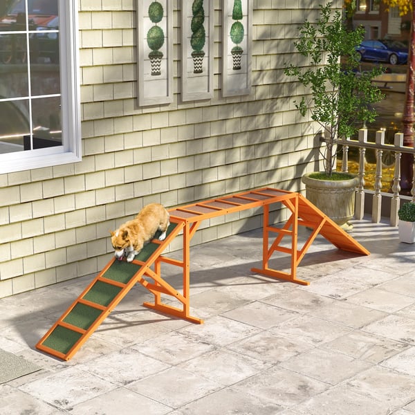 Hund Agilitybro i gran, orange, 325x55x69 cm